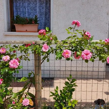 Apartment Da Valdes